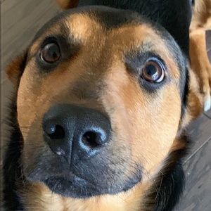 Meet your Posher, Jieting